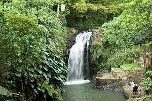 Archivo:Annandale Waterfalls