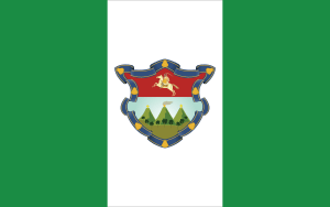 Archivo:Bandera de Sacatepéquez
