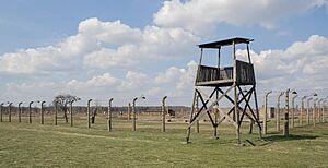 Archivo:Barracones en Auschwitz II-Birkenau, Polonia6