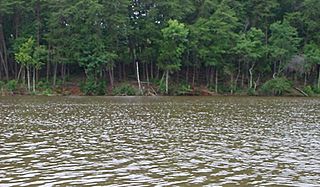 CatawbaRiver.jpg