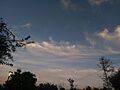 Cirrus floccus with virga 001
