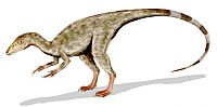 Archivo:Compsognathus BW