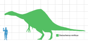 Archivo:Deinocheirus scale