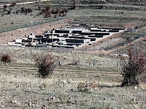 Archivo:El Burgo de Osma - Ruinas de Uxama - 8170433