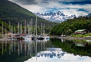 Archivo:El viejo Micalvi de Puerto Williams