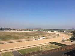 Foto del hipódromo de San Félix, en el departamento de Paysandú.jpg