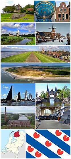 Friesland montage image.jpg