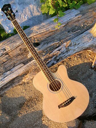 Ibanez AEB5E Acoustic Bass 2 20100730