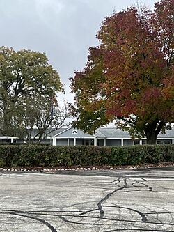 Jackson (1).jpg
