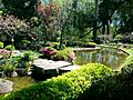 Jardinjaponesmdeo