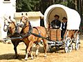 Karl-May-Spiele-Bischofswerda.Planwagen
