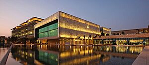 Archivo:Kaust-night-view