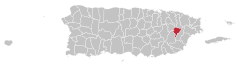 Locator-map-Puerto-Rico-Juncos.svg