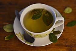 Mate de coca boliviano.jpg