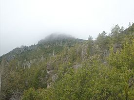 Mirtha y Eduardo cumbre del Currumahuida - panoramio.jpg