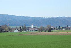Neftenbach Dorf.JPG