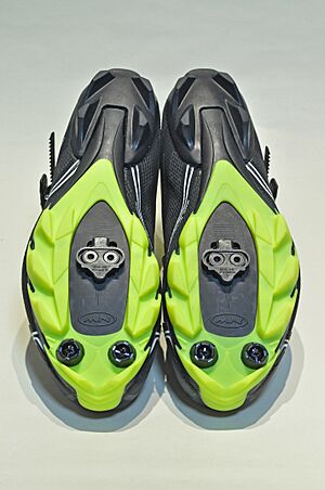 Archivo:Northwave Scorpius SRS 003