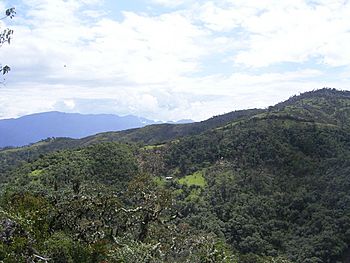 Archivo:Paisaje-soloco chachapoyas amazonas peru