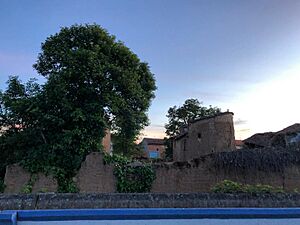 Archivo:Palomares coomonte