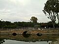 Parque de Miraflores (Sevilla)