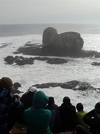 Quiksilver Pta de Lobos Championship 22.jpg
