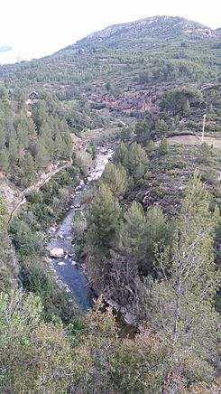 Río Lucena.jpg