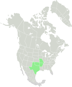 Current range of S. ampullaceus.