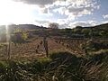 Reillo pueblo2