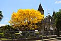 San Joaquín de Flores