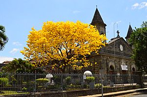 San Joaquín de Flores.JPG