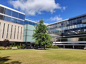 Archivo:Sherfield Building and Central Library on Queen's Lawn
