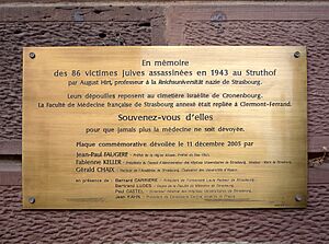 Archivo:Strasbourg Hôpital civil plaque institut anatomie