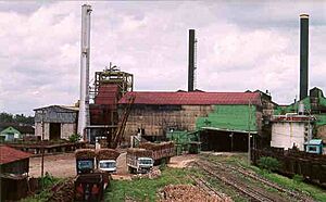 Archivo:Sugar mill consuelo
