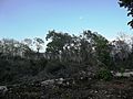 Susulá (Mérida), Yucatán (05)