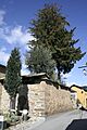 Tejos de la iglesia de Albares