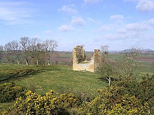 Archivo:Timpendean Tower