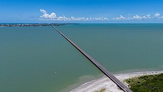 Toma aérea del Puente El Zacatal 01.jpg