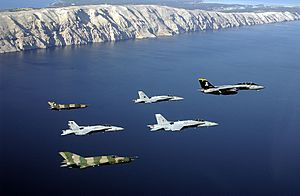 Archivo:US Navy 021029-N-1955P-020 Navy aircraft participate in Joint Wings 2002