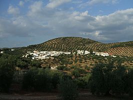 Vista general de La Carrasca