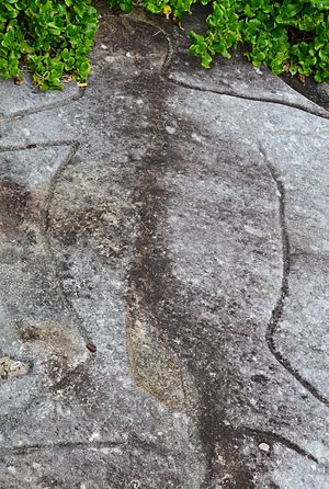 Archivo:(1)rock carving Bondi