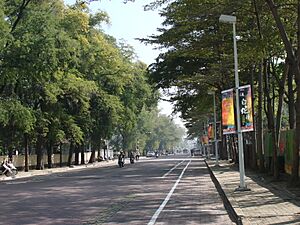 Archivo:成功大學 020