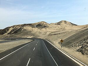Archivo:14-Pan-American Highway (Peru)-nX-11