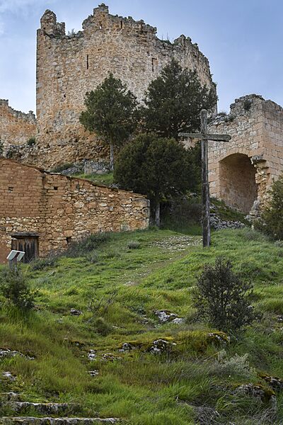 20240330 CASTILLEJO DE ROBLEDO (22)-1