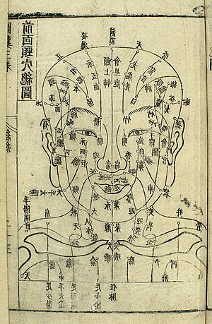 Archivo:Acupuncture chart of front of head, 17th C. Chinese woodcut Wellcome L0034707