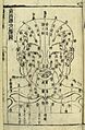 Acupuncture chart of front of head, 17th C. Chinese woodcut Wellcome L0034707