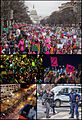 Anti-Trump protests