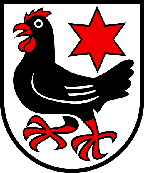 CHE Finsterhennen BE COA
