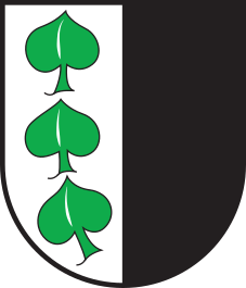 CHE Scharans COA