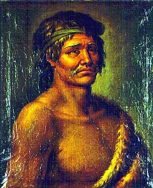 Archivo:Cacique Junchar