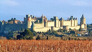 Archivo:Carcassonne-vignes